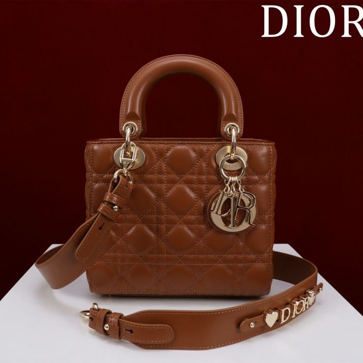 chr1st1an D10r my lady bags